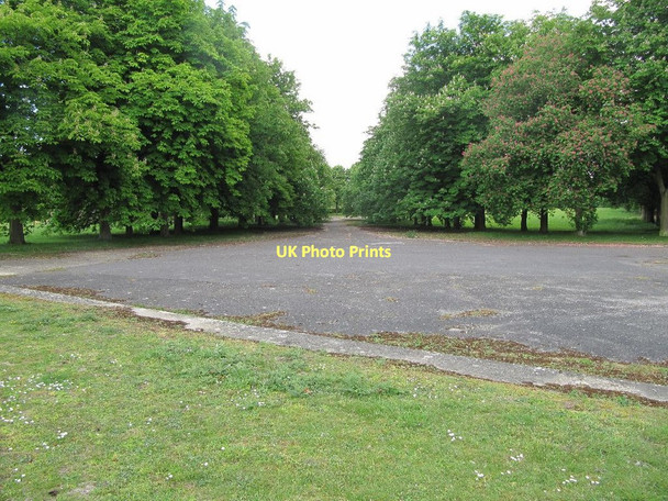 Photo 6"x4" Aisle of trees Chilton\/SU4885 c2011