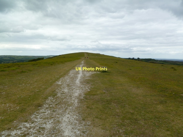 Photo 6"x4" Ballard Down, Purbeck Way Studland c2011