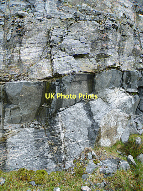 Photo 6"x4" Roadside Cutting Gearraidh na h-Aibhne c2011