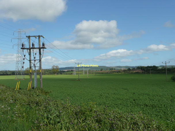 Photo 6"x4" Electricity pylons and poles galore Princeland c2011