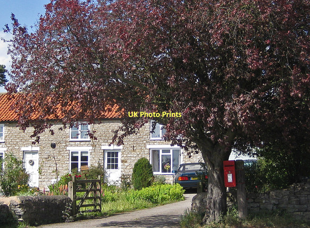 Photo 6"x4" George VI postbox, Great Edstone Great Edstone c2011