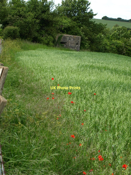 Photo 6"x4" Pill Box Folkestone c2011