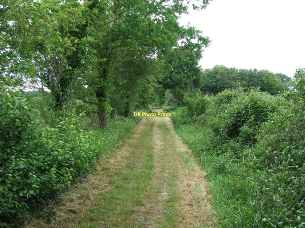 Photo 6"x4" Green Footpath Redlingfield c2011