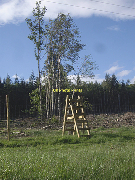Photo 6"x4" Step stile over a deer fence Millfield\/NO4896 c2011