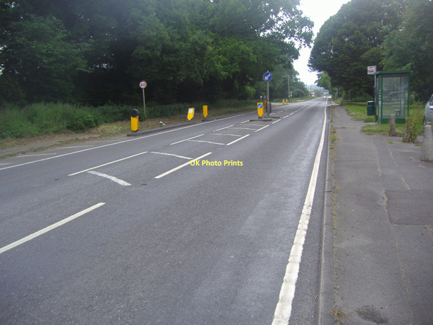 Photo 6"x4" The A31 in Ropley North Street\/SU6433 c2011