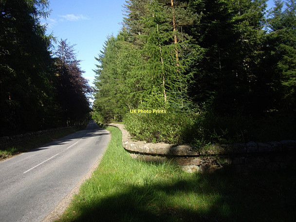 Photo 6"x4" South Deeside Road (B976) Birsemore c2011