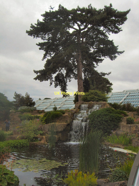 Photo 6"x4" Tree & Waterfall - Kew Brentford c2011