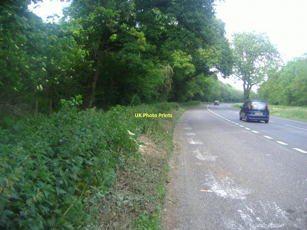 Photo 6"x4" Winchester Road, east of Four Marks Chawton c2011