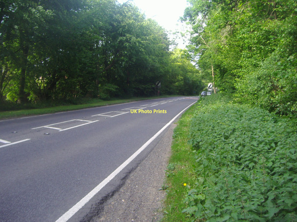 Photo 6"x4" Winchester Road, Four Marks Four Marks c2011 P1
