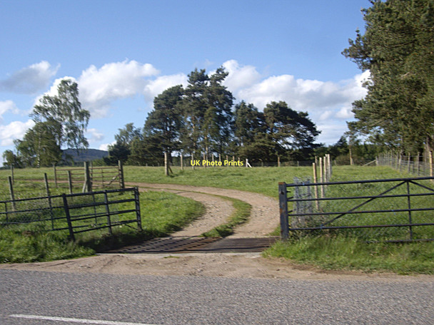Photo 6"x4" Cattle grid on track to River Dee Birse c2011