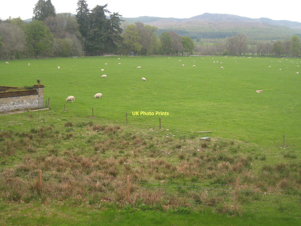 Photo 6"x4" Grazing land at Corrimony Corrimony c2011