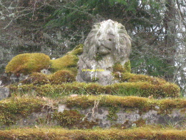 Photo 6"x4" Stone lion at Corrimony burial ground Corrimony c2011