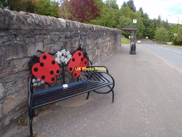 Photo 6"x4" Memorial bench Pitlochry c2011