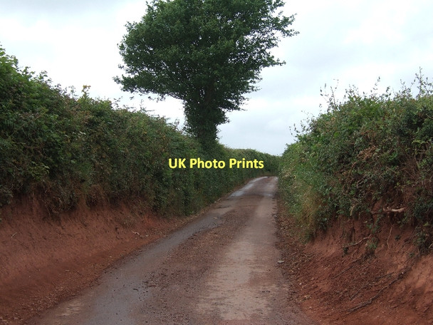 Photo 6"x4" Polehouse Lane Alphington c2011