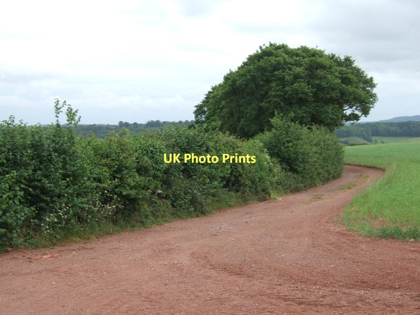 Photo 6"x4" Farm track from Markham Lane south to Shillingford St George Alphington c2011