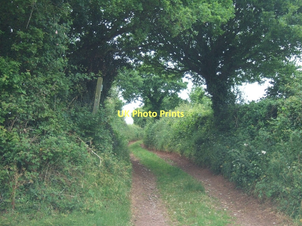 Photo 6"x4" Public footpath running west from Markham Cross Ide c2011