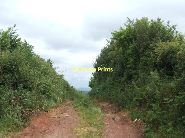 Photo 6"x4" Footpath to Markham Cross Ide c2011
