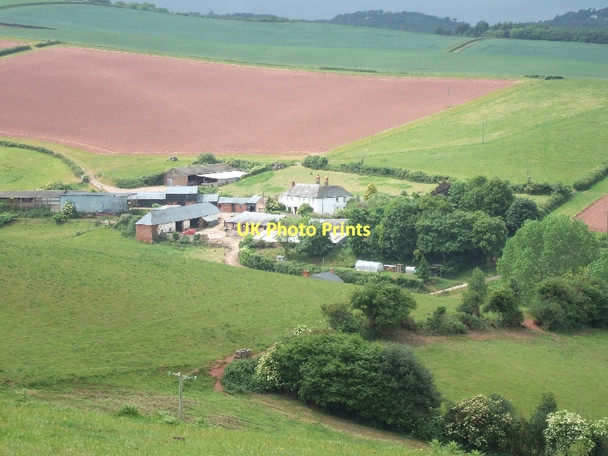Photo 6"x4" Whiddon Farm Ide c2011