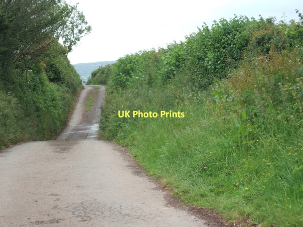 Photo 6"x4" Road to Idestone Cross from Cuckoo Green Dunchideock c2011