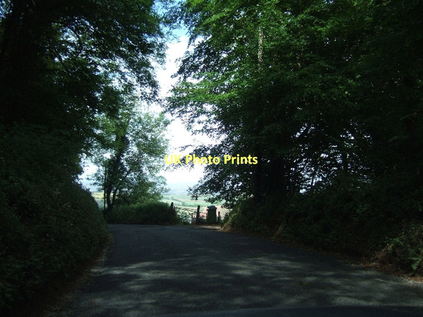 Photo 6"x4" In School Wood Dunchideock c2011