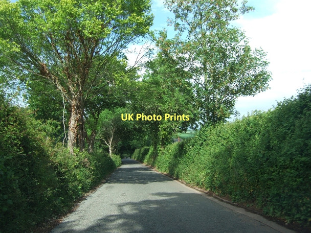 Photo 6"x4" Road north-east of Manstree Cross on the way to Ide Clapham\/SX8987 c2011