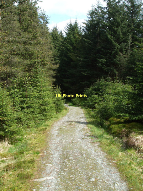 Photo 6"x4" Track in Achray Forest Altskeith c2011