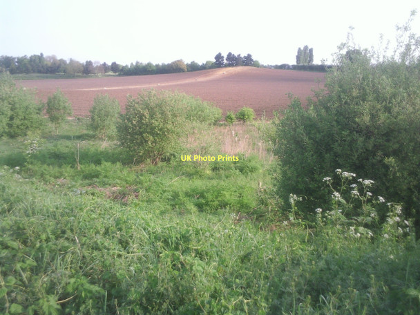Photo 6"x4" Field seen from Maidstone Road Swanley\/TQ5168 c2011