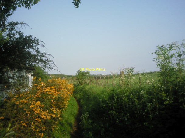 Photo 6"x4" Footpath near Upper Ruxley Swanley\/TQ5168 c2011