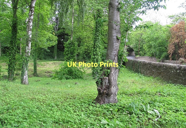 Photo 6"x4" Woodland, Pencaitland Pencaitland c2011