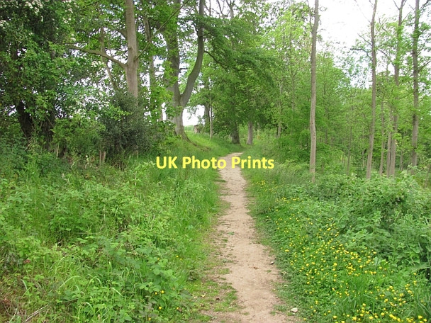 Photo 6"x4" Path between Ormiston and Pencaitland Ormiston\/NT4169 c2011