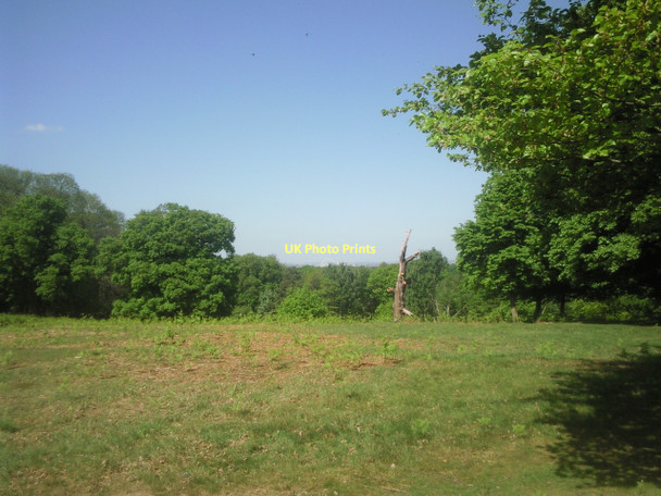 Photo 6"x4" Viewpoint in Richmond Park Kingston Upon Thames c2011