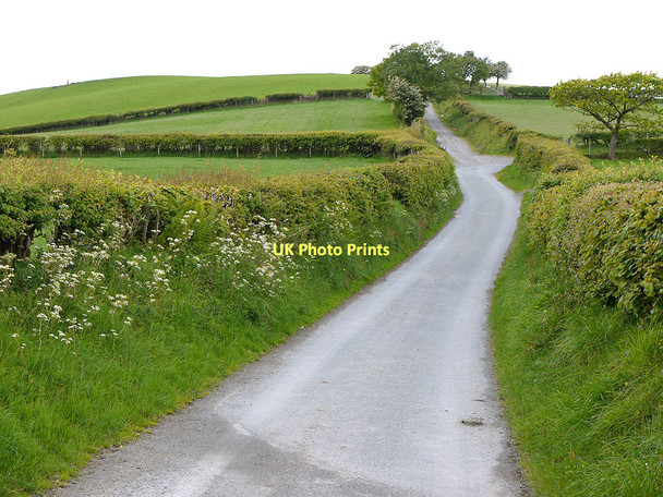 Photo 6"x4" Road heading up Bryn Mawr Tylwch c2011