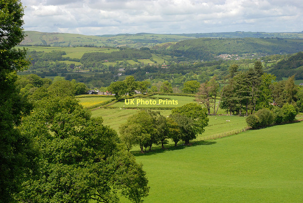 Photo 6"x4" Fields above the Dulas valley Tylwch c2011