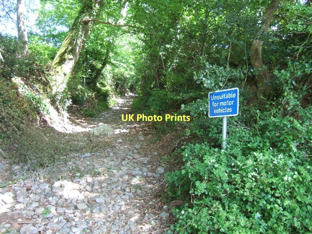 Photo 6"x4" Unsuitable for motor vehicles Sidmouth c2011