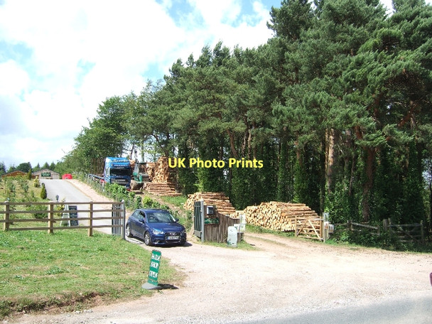 Photo 6"x4" East Hill Pride Sidmouth c2011