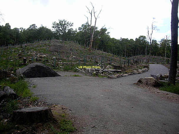 Photo 6"x4" A new cycle path to Dinnet Dinnet c2011