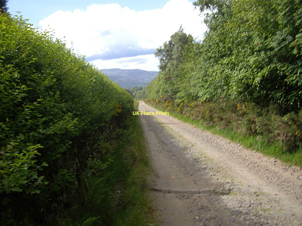 Photo 6"x4" The lane down to Oldhall Millfield\/NO4896 c2011