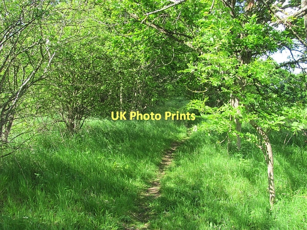 Photo 6"x4" Path, Clerkington Haddington\/NT5173 c2011