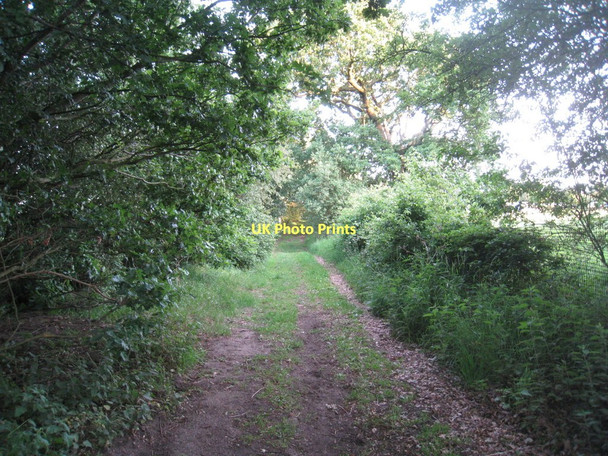 Photo 6"x4" Bull Moor Road Hatfield Woodhouse c2011