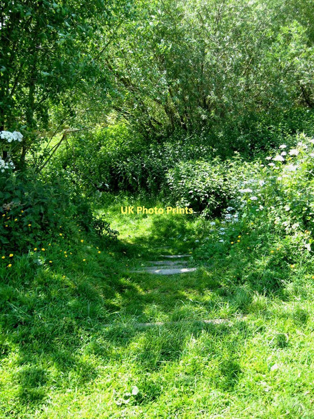 Photo 6"x4" Steps down to the River Severn at Northwick Lido, Northwick, Worcester Worcester c2011