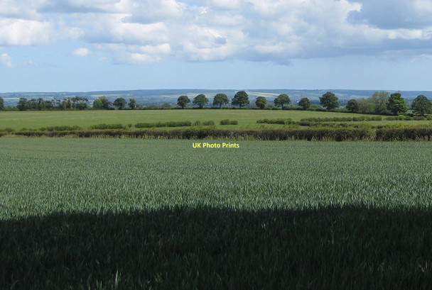 Photo 6"x4" Moorland view over Long Plantation Malton\/SE7871 c2011
