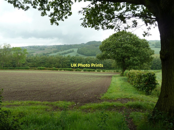 Photo 6"x4" Field below Bramleyhill Farm Ford\/SK4080 c2011