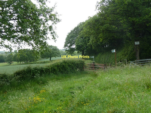 Photo 6"x4" Footpath junction at the southern tip of Bushes Wood Ford\/SK4080 c2011