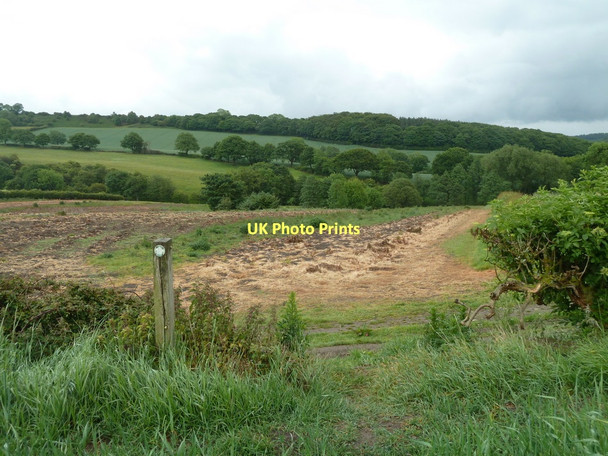 Photo 6"x4" Footpath across south facing fields Ford\/SK4080 c2011