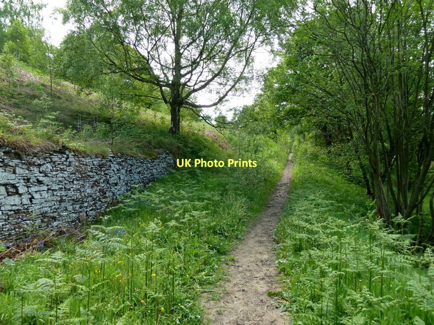 Photo 6"x4" Valley footpath below Fox Lane Moorhall\/SK3074 c2011