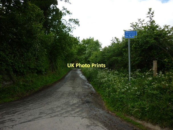 Photo 6"x4" A minor road leading to Five Turnings Totterton c2011