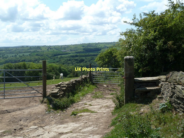 Photo 6"x4" Footpath descending to Millthorpe from Cartledge Brindwoodgate c2011