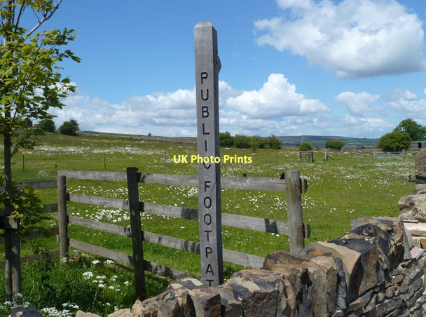 Photo 6"x4" Footpath northwest from Holmesfield Common Cartledge c2011