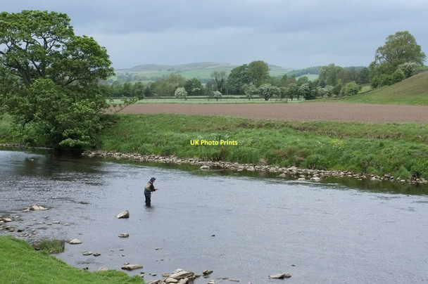 Photo 6"x4" Angler in the River Wharfe Beamsley c2011