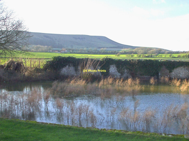 Photo 6"x4" Pond at Alciston, East Sussex Alciston c2008